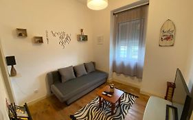 Tomas Surf Shelter Apartment